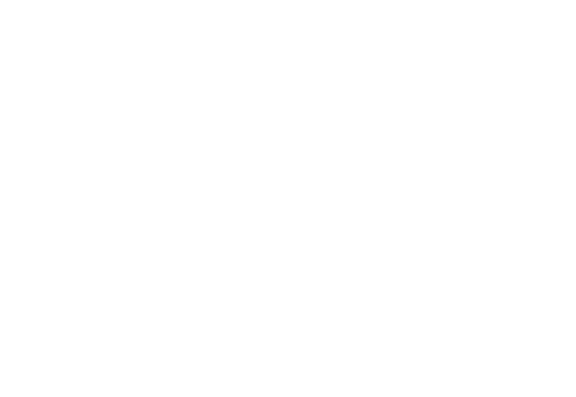 King Jouet