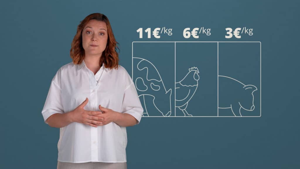 Illustration, storyboard, direction artistique, motion design et films pédagogiques pour accompagner les réfugiés ukrainiens pour les films de la Banque Populaire Caisse d'Epargne