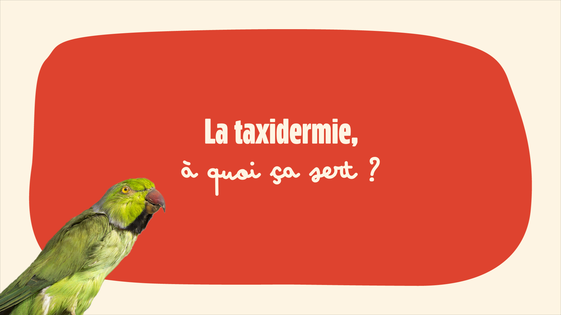 fabrique_des_savoirs_taxidermie_00 fabrique_des_savoirs_taxidermie_00