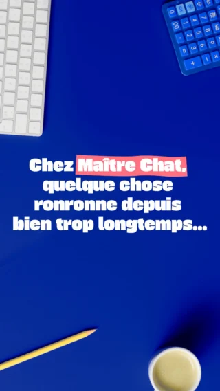 Instagram post from maitre.chat. This post is in position 6.